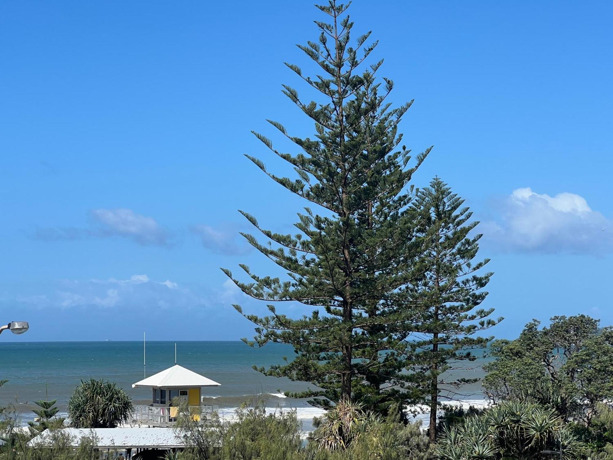 Ocean View - Alexandra Headlands Beachfront Unit Exterior foto